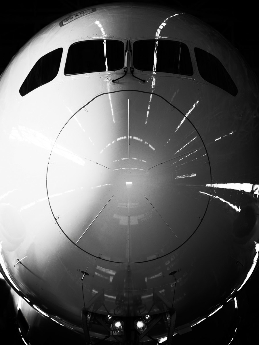 31